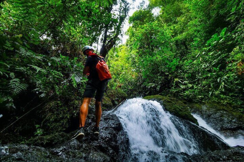 Jungle Hike with Canyoning and Rappelling in Drake Bay