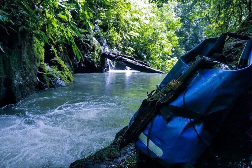 Jungle Hike with Canyoning and Rappelling in Drake Bay