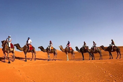 3 Days 2 Nights Marrakech to Merzouga - Sahara Tour Adventure