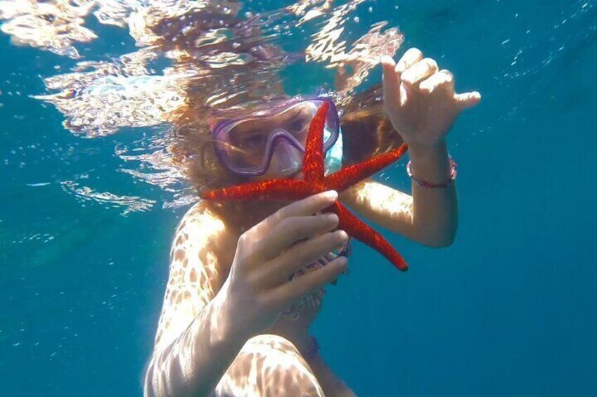 Cap Norfeu Sailing and Swimming Adventure