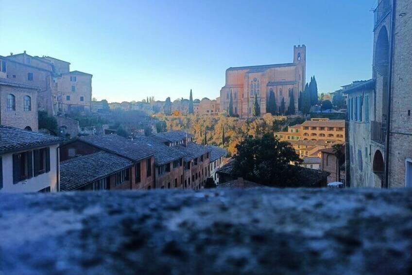 Siena walking tour & Gelato tasting