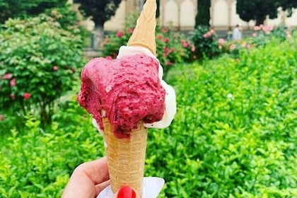 Siena wine tasting & Gelato tasting