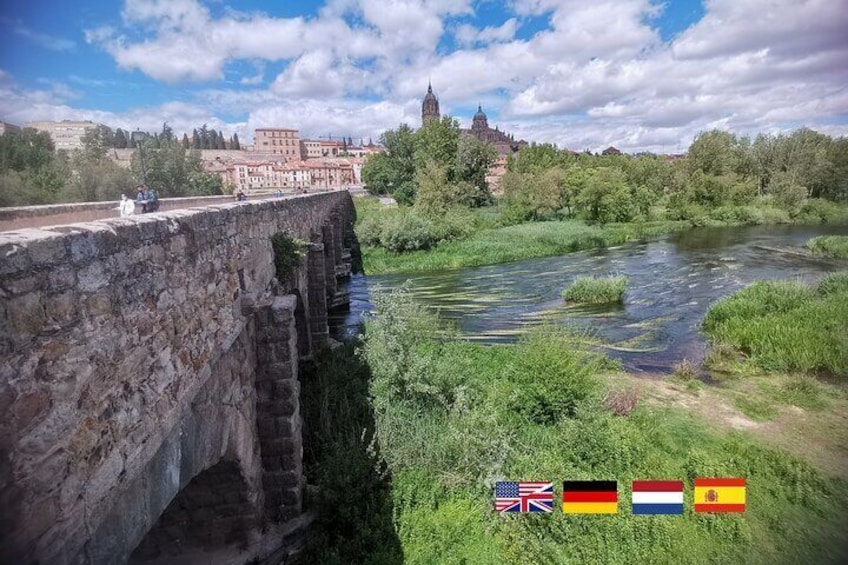Vieuw to the city of Salamanca with roman bridge
