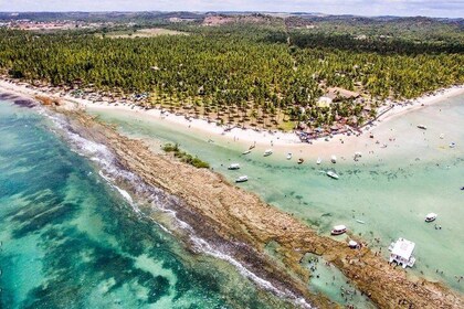 Praia dos Carneiros Tour with Catamaran (Bora Bora)