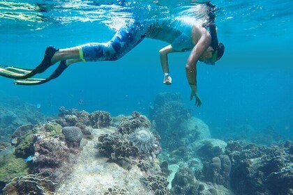 Private Guided 2-Hour Snorkeling Experience in Playa Mantas 