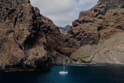 Whale watching in Los Gigantes for over 11 years