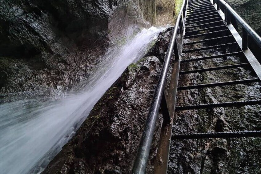 Ziplining, canyon crossing on the stairs and and hiking in the Carpathian