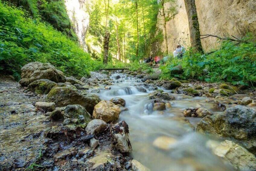 Ziplining, canyon crossing on the stairs and and hiking in the Carpathian