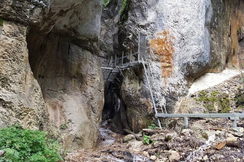 Ziplining, canyon crossing on the stairs and and hiking in the Carpathian