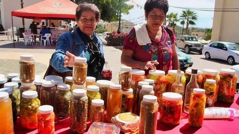 Todos Santos Magical Town Day-Trip