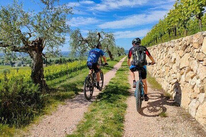 E-Bike and Wine Tour Valpolicella Hills