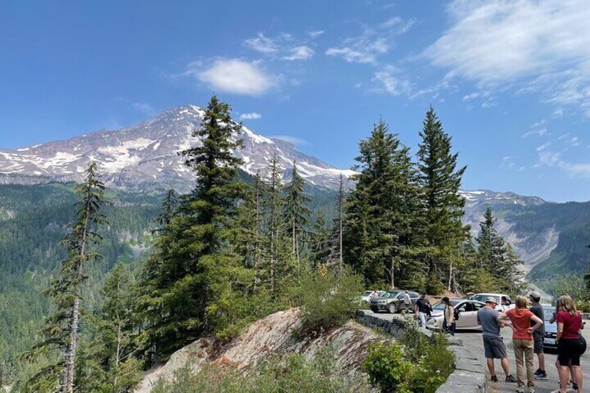 Full-Day Mt Rainier National Park Private Tour in SUV