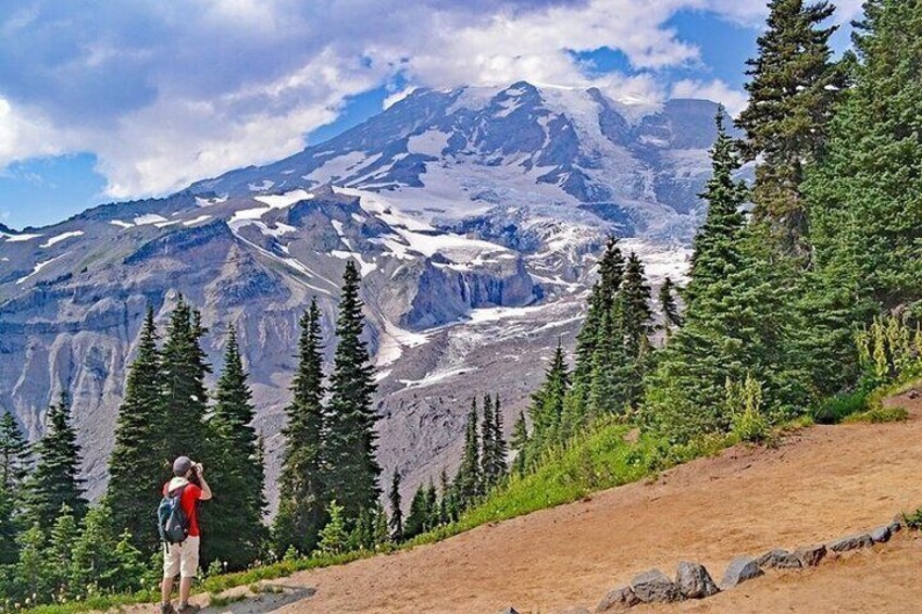 Full-Day Mt Rainier National Park Private Tour in SUV