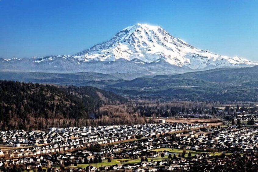 Full-Day Mt Rainier National Park Private Tour