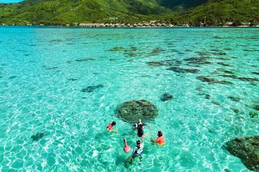 Private Excursion with Bike Paddle in Moorea and snorkeling