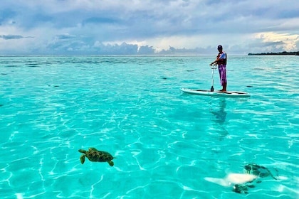 Privat tur till lagunen med e-board och snorkling
