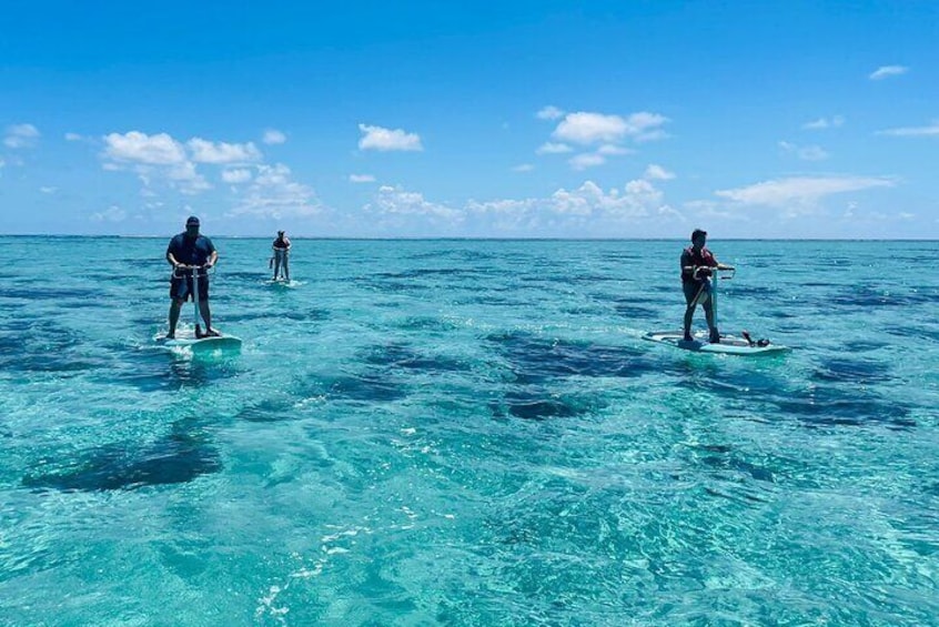 Private Excursion Bike Paddle Moorea