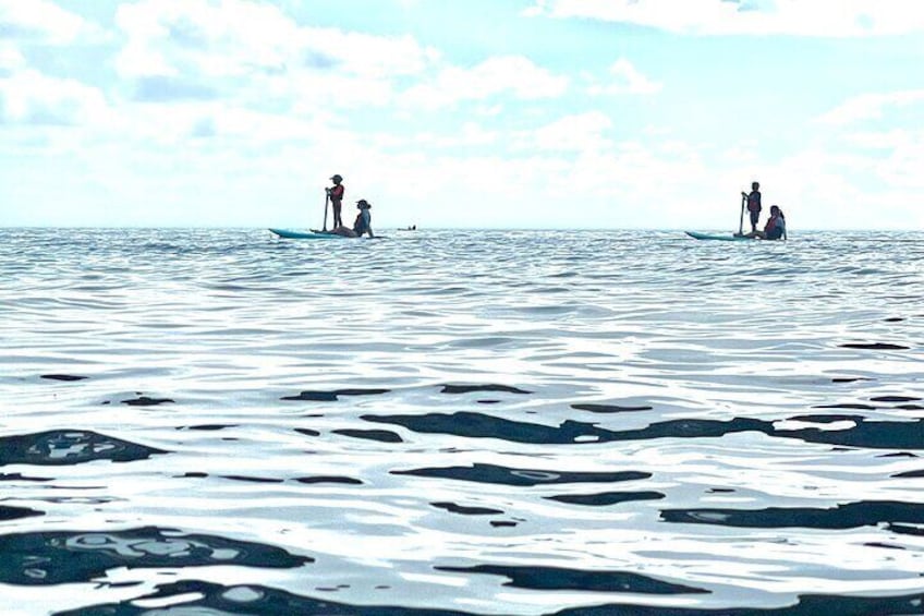 Private Excursion Bike Paddle Moorea