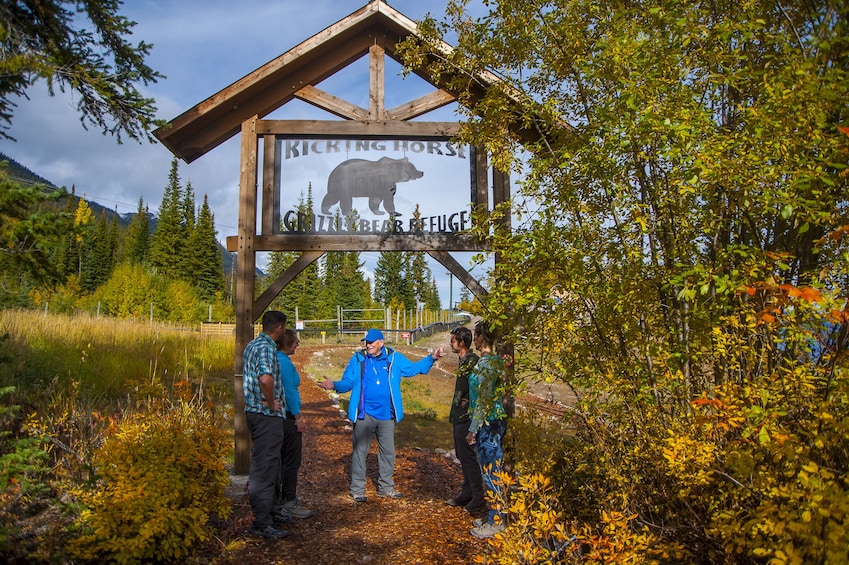 Full-Day Yoho National Park & Grizzly Bear Refuge Tour