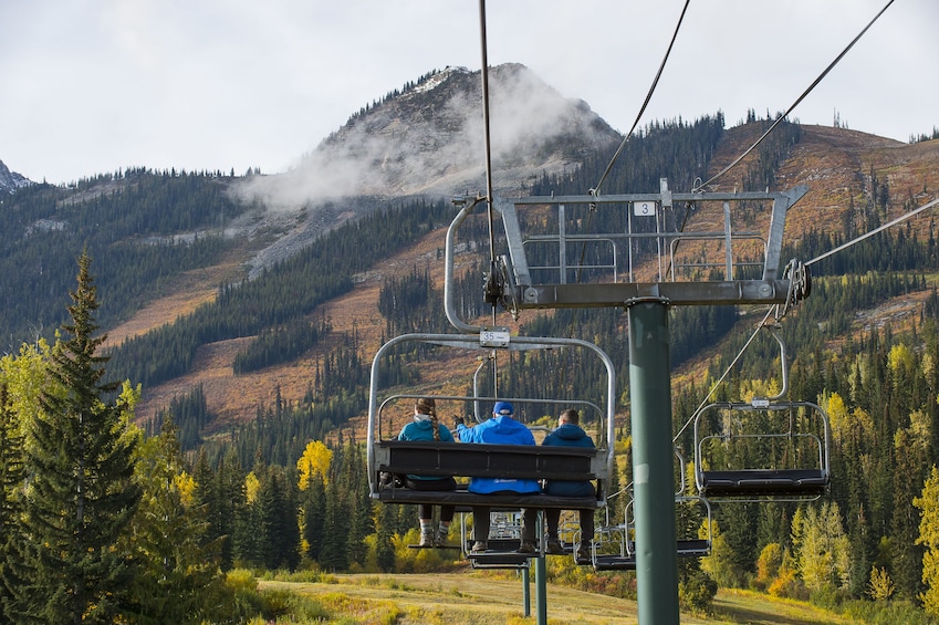 Full-Day Yoho National Park & Grizzly Bear Refuge Tour