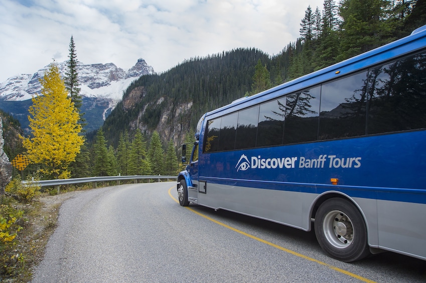 Full-Day Yoho National Park & Grizzly Bear Refuge Tour