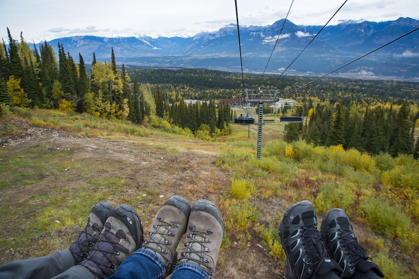 Full-Day Yoho National Park & Grizzly Bear Refuge Tour