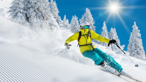 Paket Rental Ski Vail