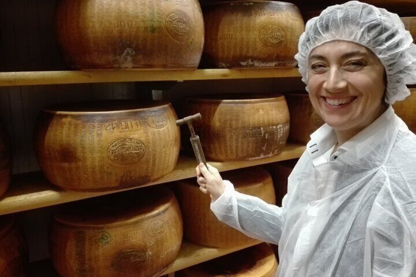 Visit plus tasting in a cheese factory