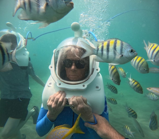 Sea Trek at Private Beach in San Juan