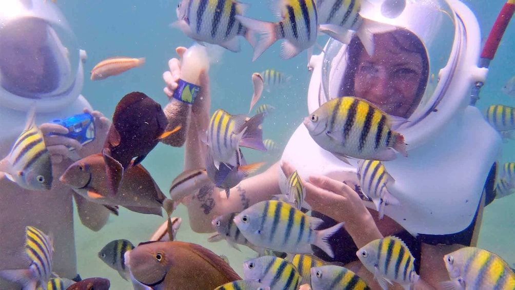 Couple having fun on the Sea Trek tour in San Juan 