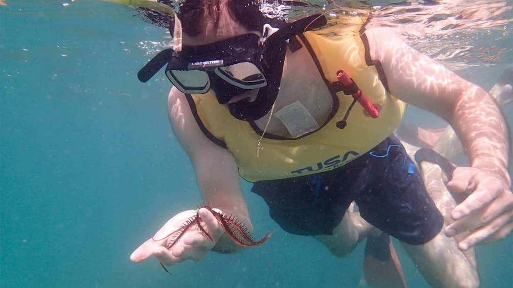 Snorkeling in San Juan