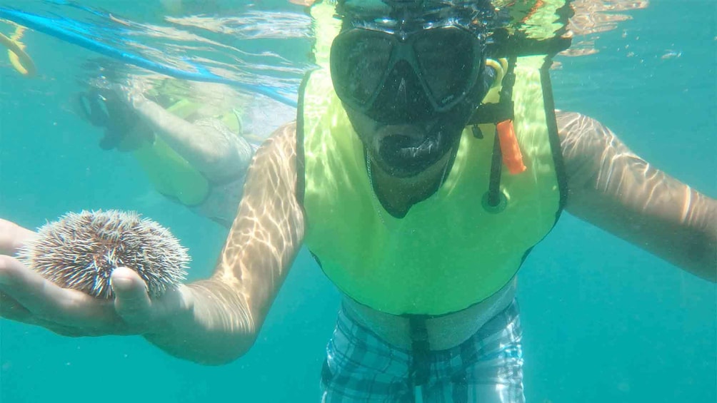 Man snorkeling in San Juan 