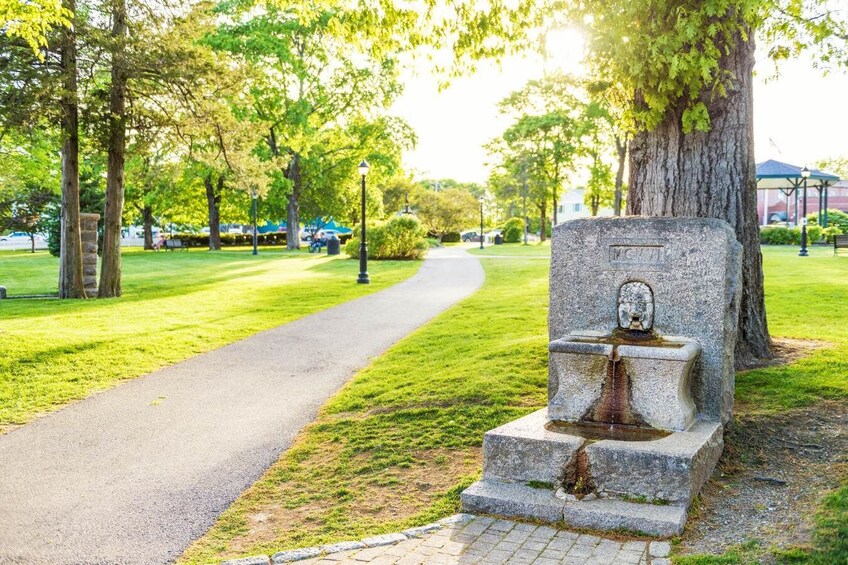 Acadia National Park & Bar Harbor Self-Guided Driving & Walking Tour