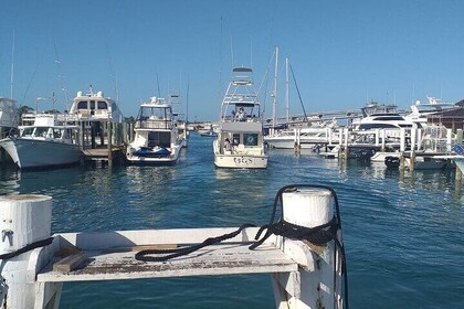 4 Hour Private Fishing Charter in Nassau
