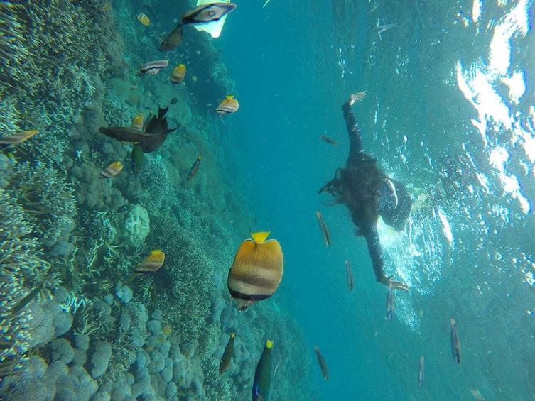 Amazing Nusa Penida Snorkeling Experience