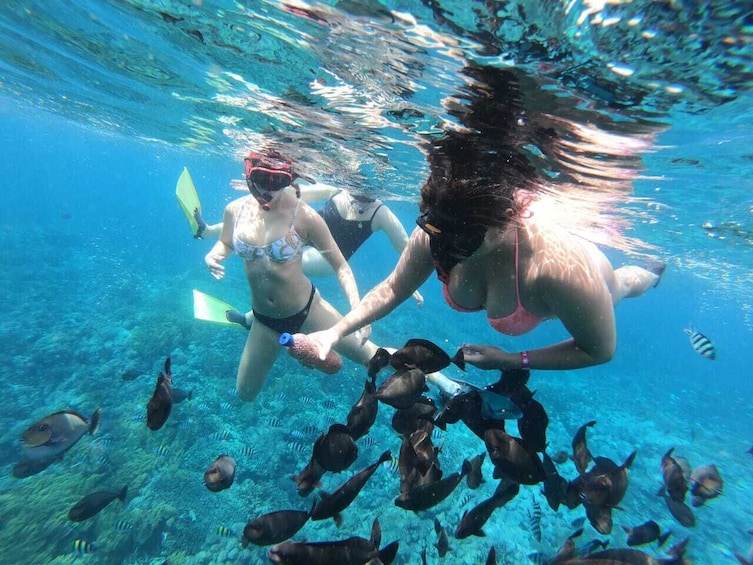 Amazing Nusa Penida Snorkeling Experience