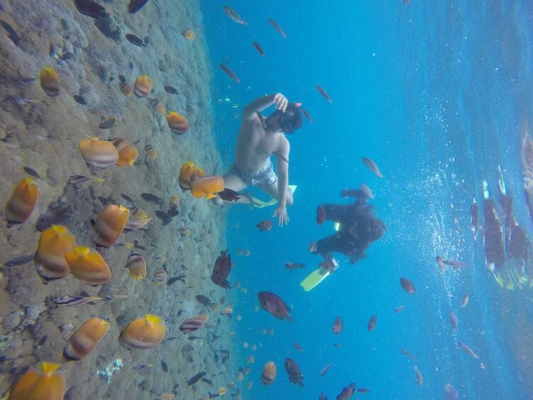 Amazing Nusa Penida Snorkeling Experience