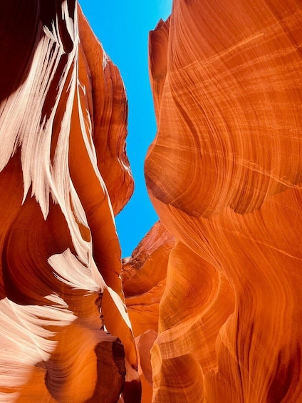 BEST Grand Canyon&Lower Antelope Canyon& Horseshoe Bend 4-Day Tour from LA