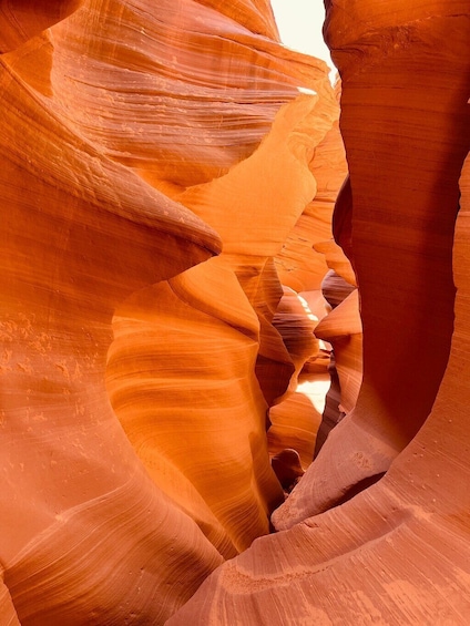 BEST Grand Canyon&Lower Antelope Canyon& Horseshoe Bend 4-Day Tour from LA