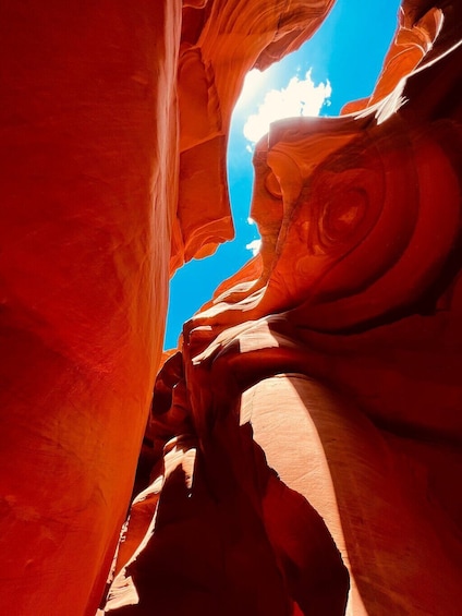 BEST Grand Canyon&Lower Antelope Canyon& Horseshoe Bend 4-Day Tour from LA