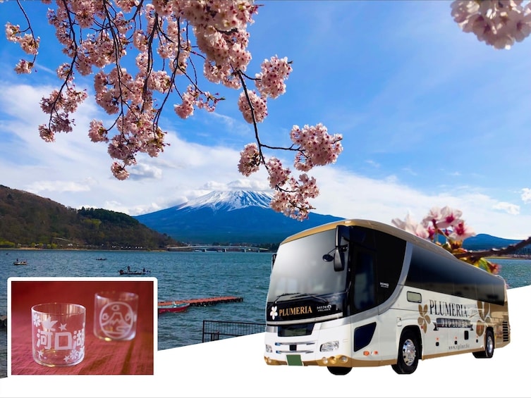 Round trip bus from Tokyo to Lake Kawaguchi