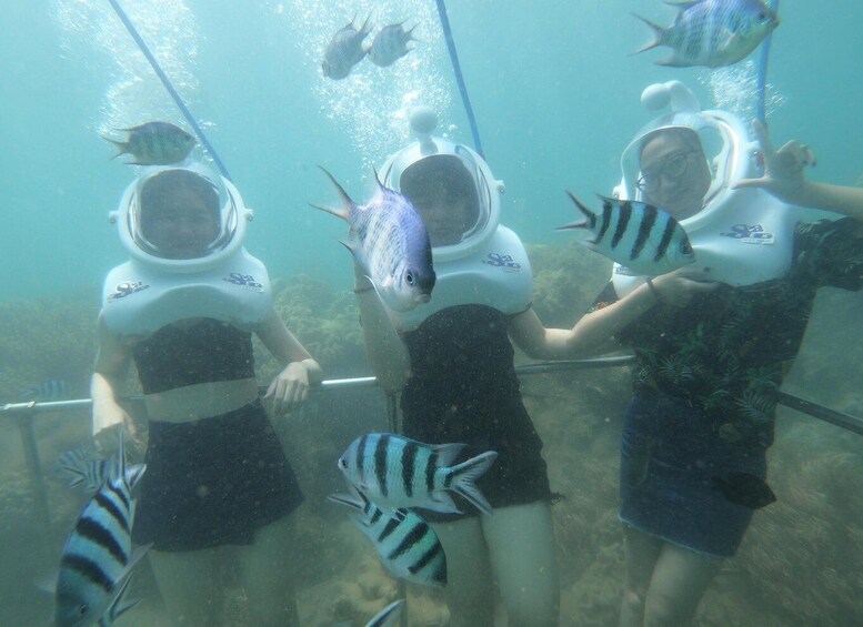 Picture 16 for Activity Cham Island: Underwater Walking & Snorkeling Tour