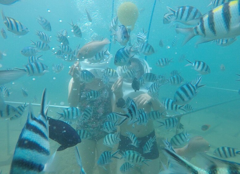 Picture 1 for Activity Cham Island: Underwater Walking & Snorkeling Tour