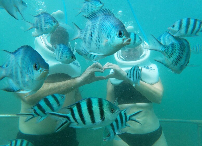 Picture 10 for Activity Cham Island: Underwater Walking & Snorkeling Tour