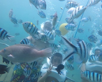 Ön Cham: Undervattensvandring och snorklingstur