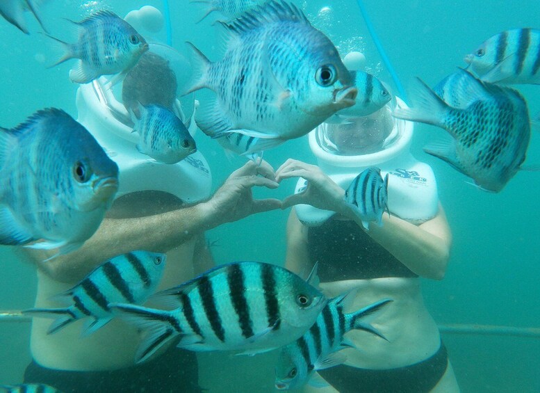 Picture 12 for Activity Cham Island: Underwater Walking & Snorkeling Tour