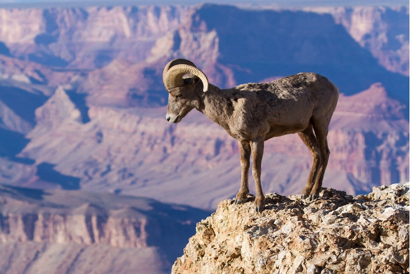 Grand Canyon & Sedona Self-Guided Driving Tour Bundle