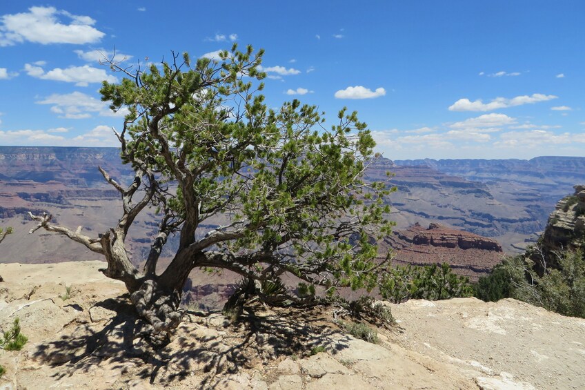 Grand Canyon and Sedona Self-Guided Bundle Tour