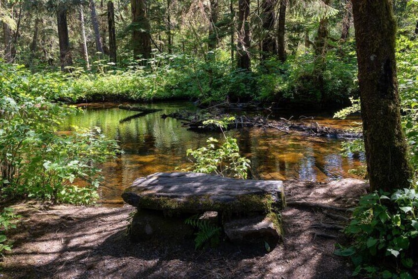 Stone bench by the river