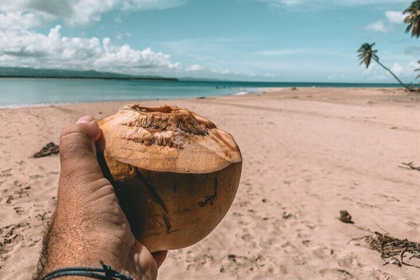 disfruta a coconut recien cortado
